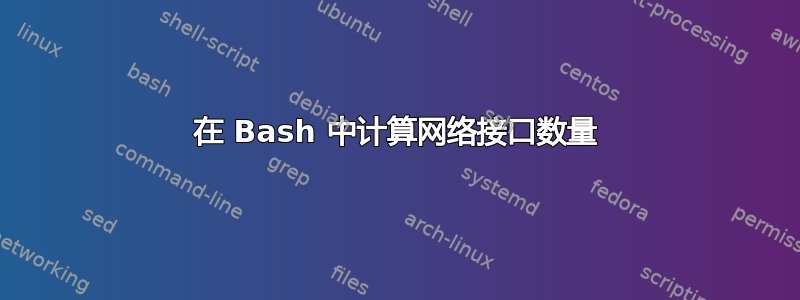 在 Bash 中计算网络接口数量