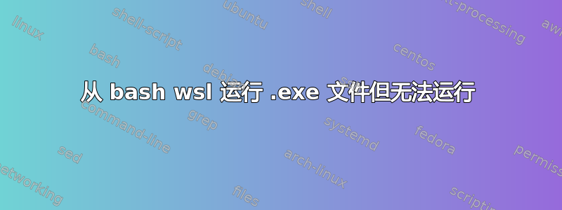 从 bash wsl 运行 .exe 文件但无法运行