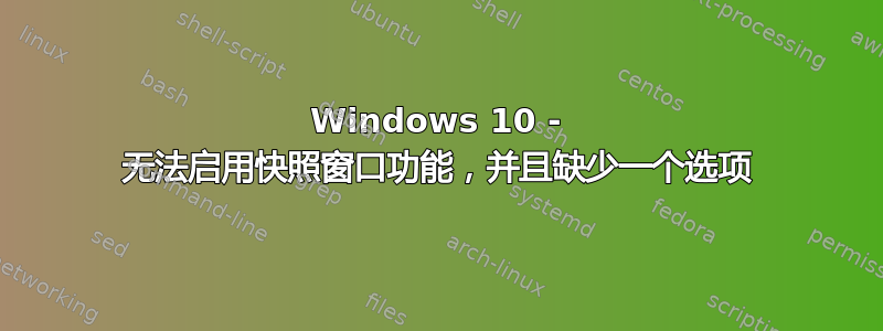 Windows 10 - 无法启用快照窗口功能，并且缺少一个选项