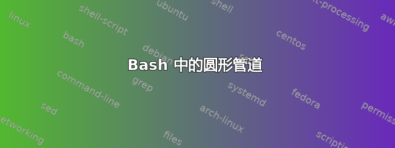 Bash 中的圆形管道