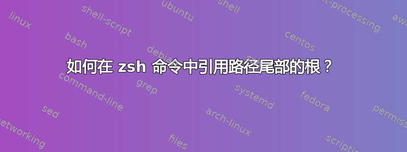 如何在 zsh 命令中引用路径尾部的根？