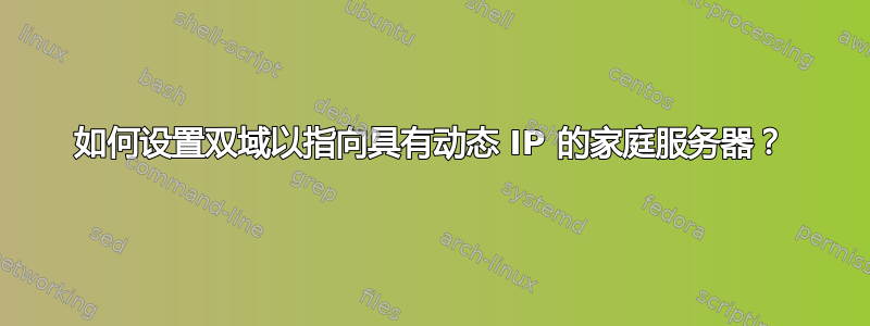 如何设置双域以指向具有动态 IP 的家庭服务器？