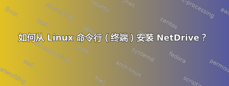 如何从 Linux 命令行（终端）安装 NetDrive？