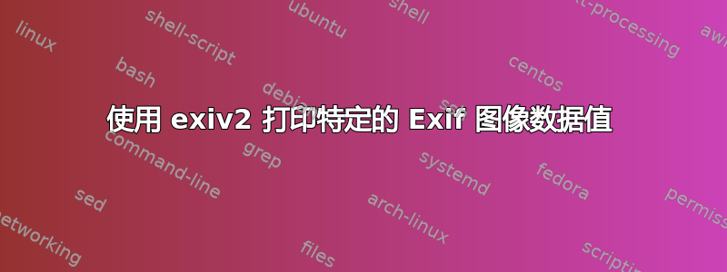 使用 exiv2 打印特定的 Exif 图像数据值