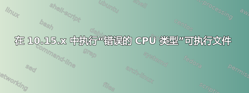 在 10.15.x 中执行“错误的 CPU 类型”可执行文件