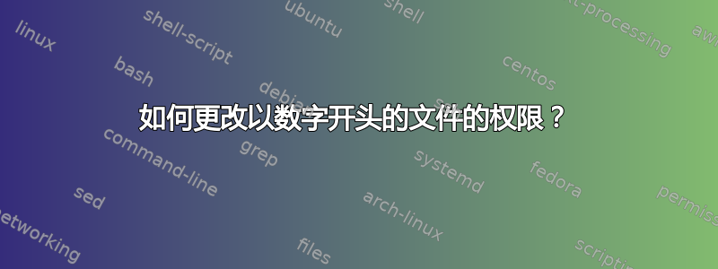 如何更改以数字开头的文件的权限？