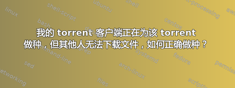 我的 torrent 客户端正在为该 torrent 做种，但其他人无法下载文件，如何正确做种？