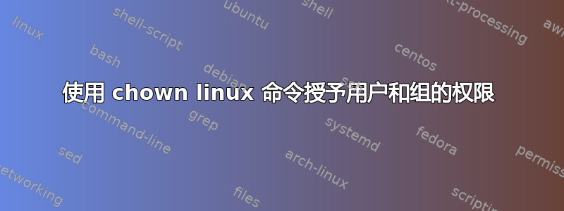 使用 chown linux 命令授予用户和组的权限