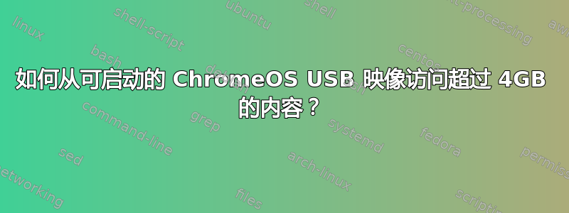 如何从可启动的 ChromeOS USB 映像访问超过 4GB 的内容？