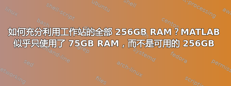 如何充分利用工作站的全部 256GB RAM？MATLAB 似乎只使用了 75GB RAM，而不是可用的 256GB