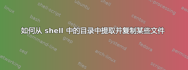 如何从 shell 中的目录中提取并复制某些文件