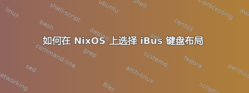 如何在 NixOS 上选择 iBus 键盘布局