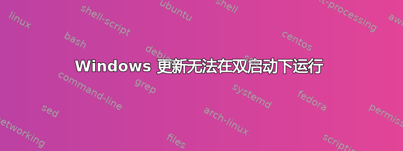 Windows 更新无法在双启动下运行