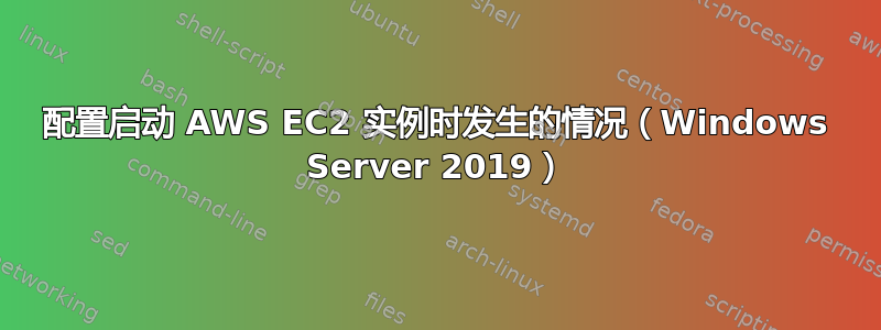 配置启动 AWS EC2 实例时发生的情况（Windows Server 2019）