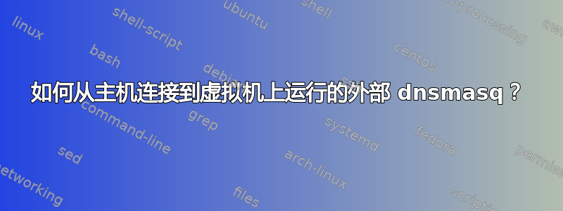 如何从主机连接到虚拟机上运行的外部 dnsmasq？