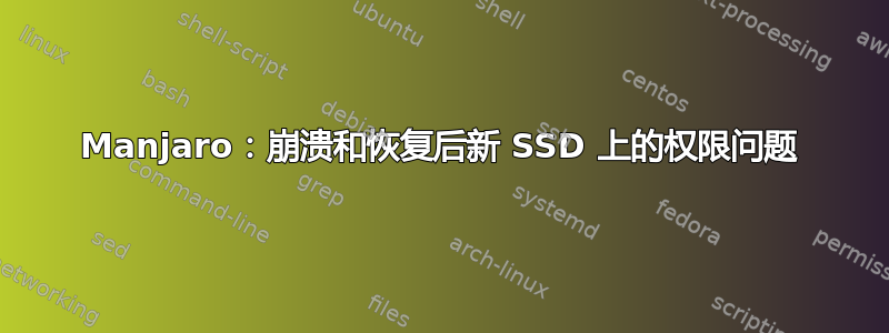 Manjaro：崩溃和恢复后新 SSD 上的权限问题