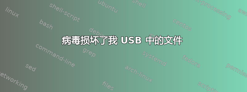 病毒损坏了我 USB 中的文件