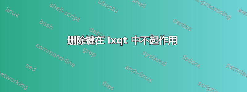 删除键在 lxqt 中不起作用