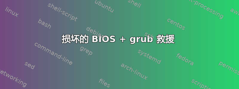 损坏的 BIOS + grub 救援