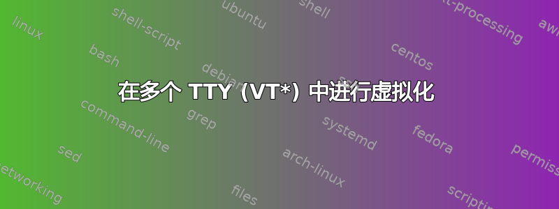 在多个 TTY (VT*) 中进行虚拟化