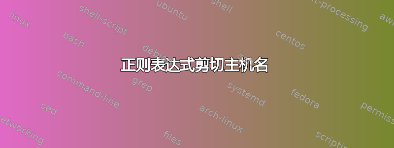 正则表达式剪切主机名