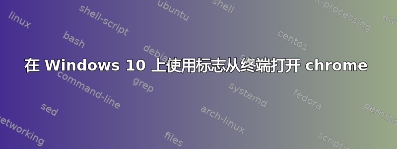 在 Windows 10 上使用标志从终端打开 chrome