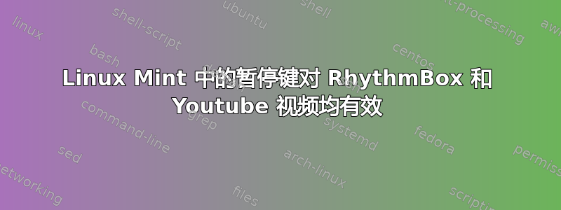 Linux Mint 中的暂停键对 RhythmBox 和 Youtube 视频均有效