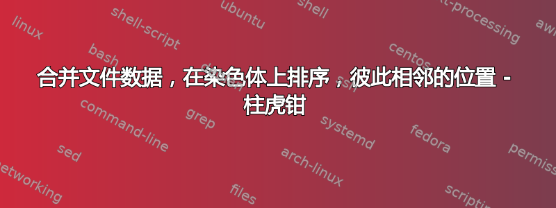 合并文件数据，在染色体上排序，彼此相邻的位置 - 柱虎钳