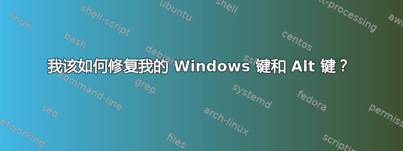 我该如何修复我的 Windows 键和 Alt 键？