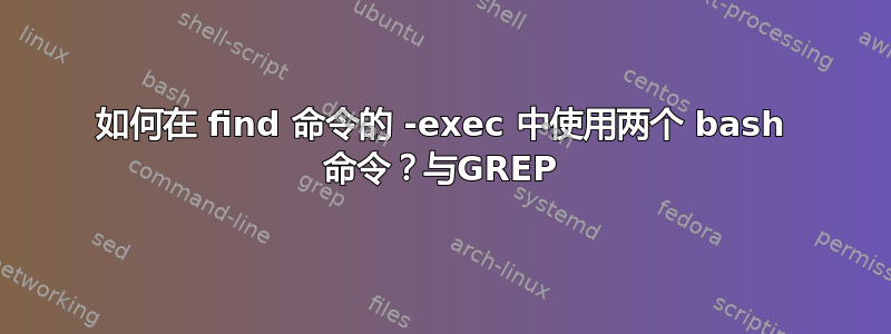 如何在 find 命令的 -exec 中使用两个 bash 命令？与GREP