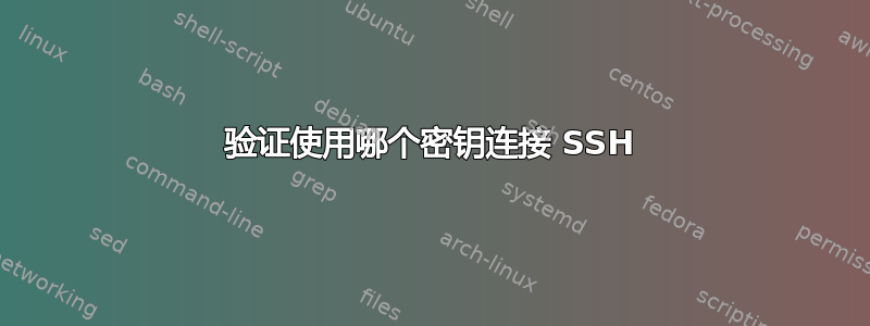 验证使用哪个密钥连接 SSH