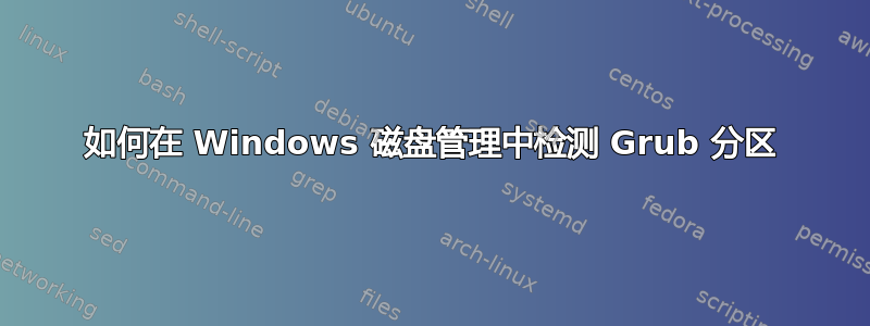 如何在 Windows 磁盘管理中检测 Grub 分区