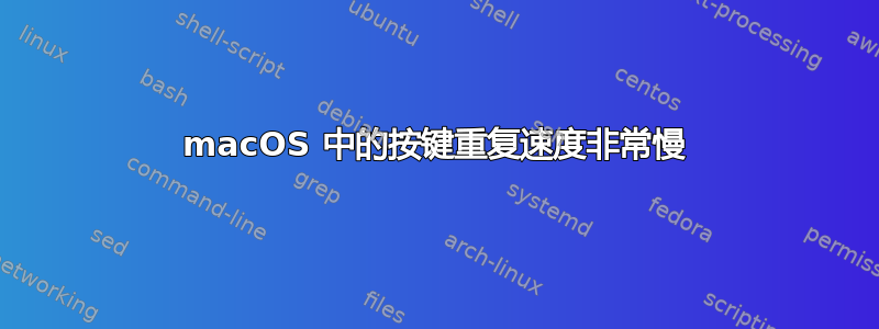 macOS 中的按键重复速度非常慢