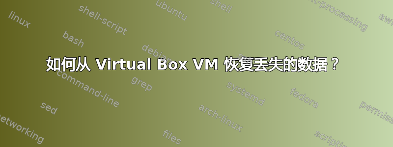 如何从 Virtual Box VM 恢复丢失的数据？