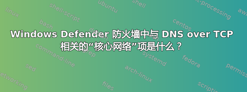 Windows Defender 防火墙中与 DNS over TCP 相关的“核心网络”项是什么？