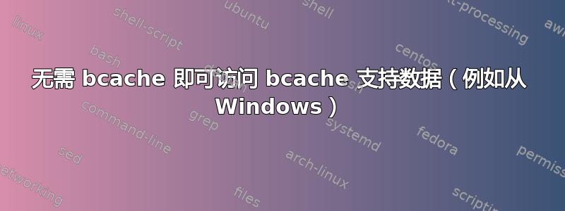 无需 bcache 即可访问 bcache 支持数据（例如从 Windows）