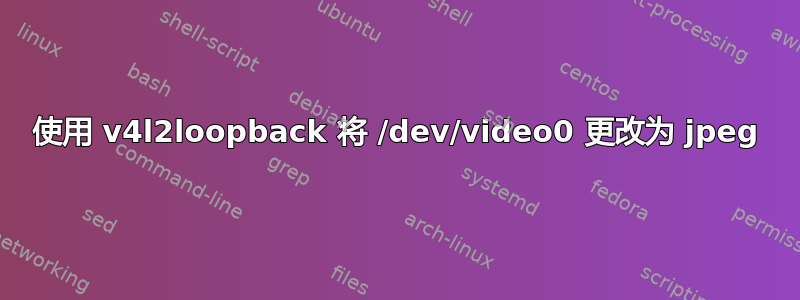 使用 v4l2loopback 将 /dev/video0 更改为 jpeg