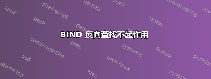 BIND 反向查找不起作用