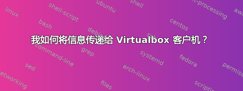 我如何将信息传递给 Virtualbox 客户机？