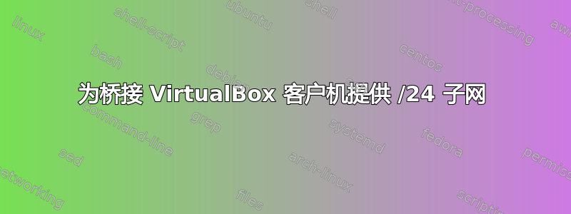 为桥接 VirtualBox 客户机提供 /24 子网