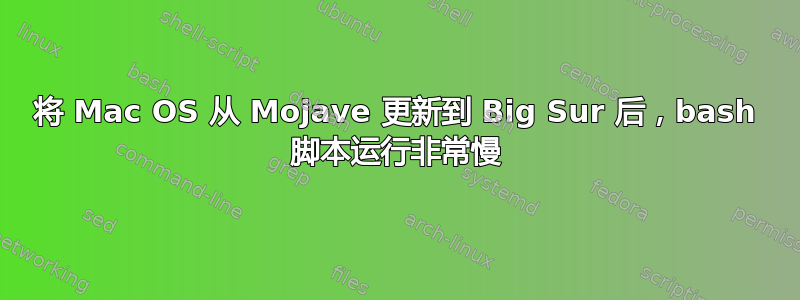 将 Mac OS 从 Mojave 更新到 Big Sur 后，bash 脚本运行非常慢