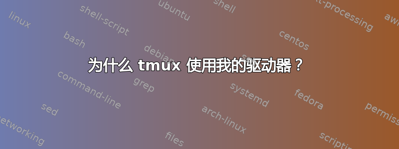 为什么 tmux 使用我的驱动器？