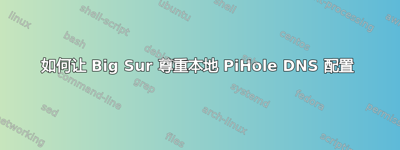 如何让 Big Sur 尊重本地 PiHole DNS 配置