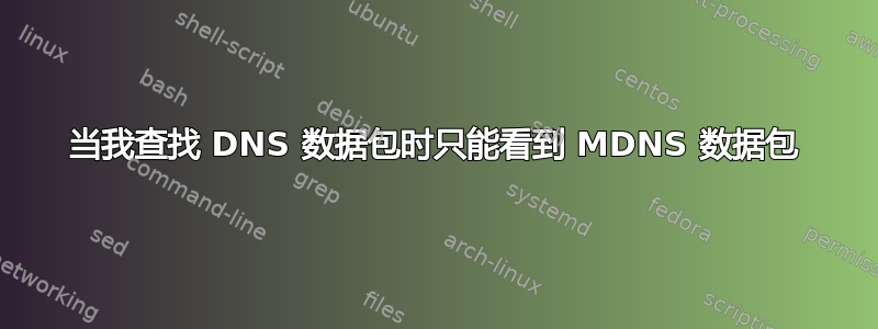 当我查找 DNS 数据包时只能看到 MDNS 数据包