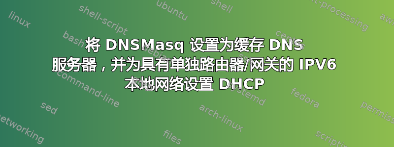 将 DNSMasq 设置为缓存 DNS 服务器，并为具有单独路由器/网关的 IPV6 本地网络设置 DHCP