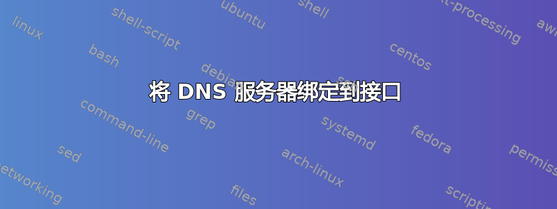 将 DNS 服务器绑定到接口