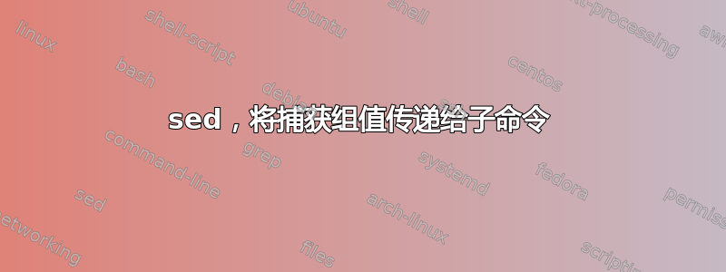 sed，将捕获组值传递给子命令