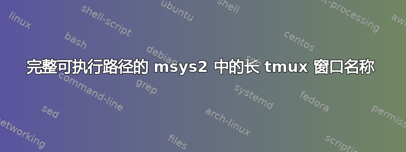 完整可执行路径的 msys2 中的长 tmux 窗口名称