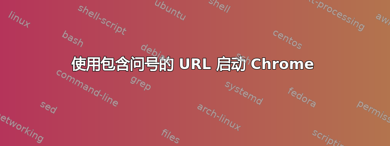 使用包含问号的 URL 启动 Chrome