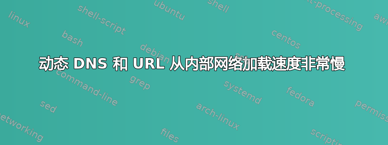 动态 DNS 和 URL 从内部网络加载速度非常慢